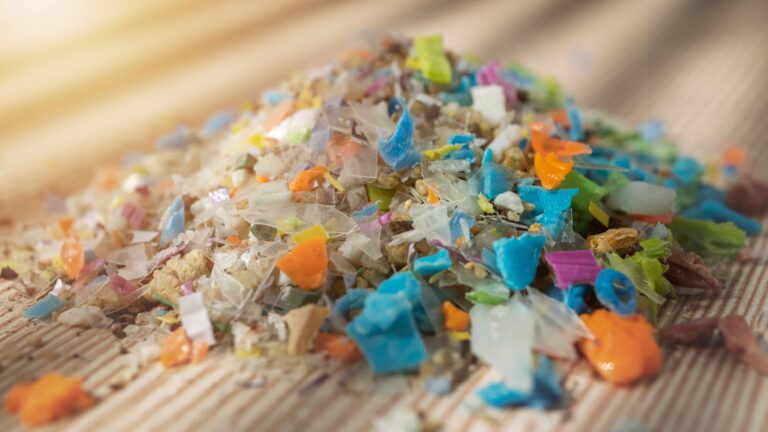 The Plastic Inside Us: How Microplastics Could Be Changing Our Bodies