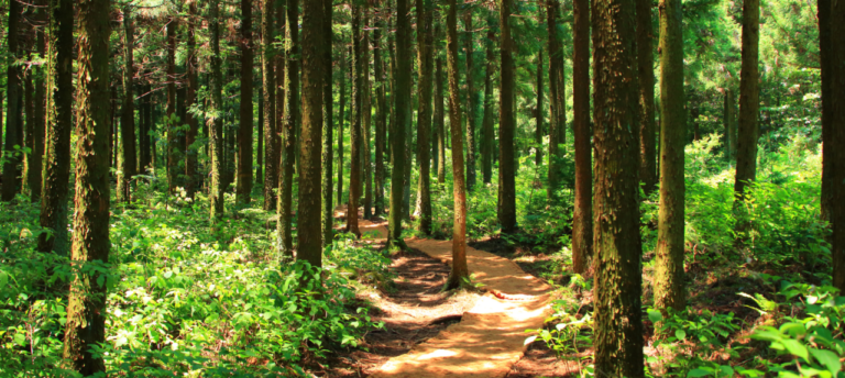 U.S. Environmental Policy Boosts Green Projects U.S. Environmental Policy Boosts Green Projects